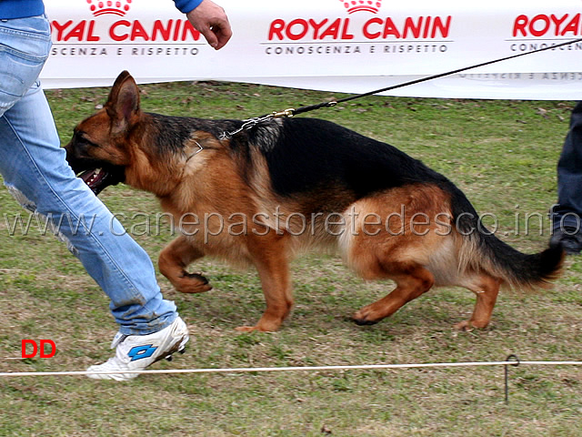 ira-della-val-sangro.jpg -  Ira della Val Sangro 