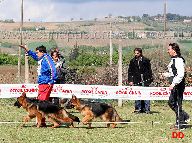 juniores-maschi-almo-di-casa-piellier-e-ak.jpg - Juniores maschi Almo di Casa Piellier e Ak