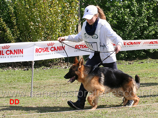 juniores-maschi-kronn-valentinientis.jpg - Juniores maschi Kronn Valentinientis