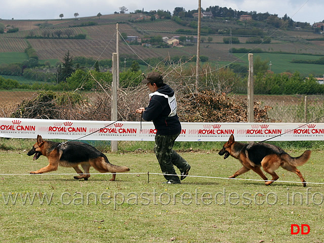 mina-team-torretta-e-brenda-di-ca-san-marco-02.jpg - Mina Team Torretta e Brenda di Ca' San Marco