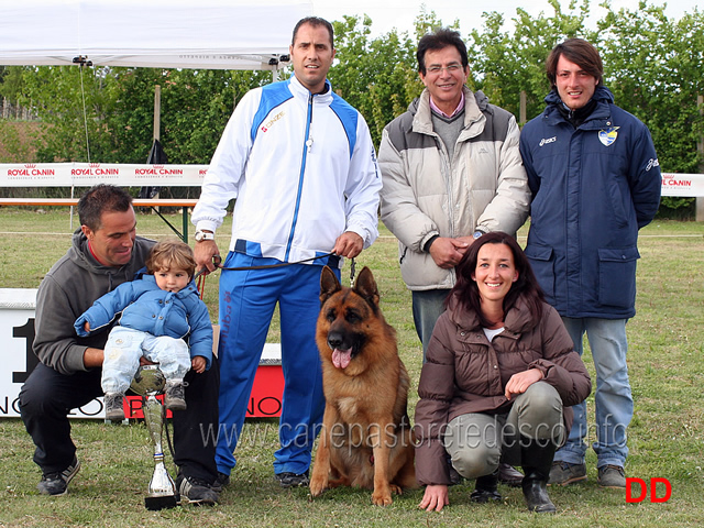 onix-and-friends.jpg - Onix & friends