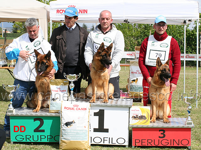 podio-cucciolone-femmine.jpg - Podio Cucciolone femmine