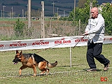 cucciolone-femmine-gilda-di-casa-ines