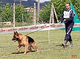 cuccioloni-maschi-lux