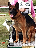 jack-del-samengio-2ecc-lavoro-maschi-