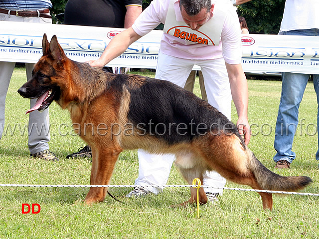diego-villacordero-4MB-giovanissimi-maschi.jpg - Diego Villacordero 4 MB Giovanissimi maschi