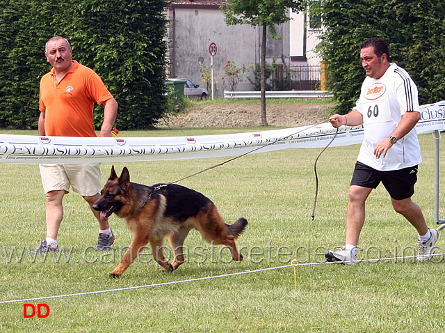 frey-di-camporeale-.jpg - Frey di Camporeale