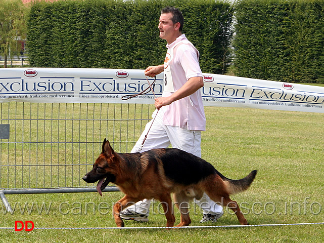 giovanissimi-maschi-diego-villacordero.jpg - Giovanissimi maschi. Diego Villacordero