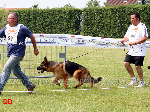 giovanissimi-maschi-frey-di-camporeale.jpg - Giovanissimi maschi. Frey di Camporeale