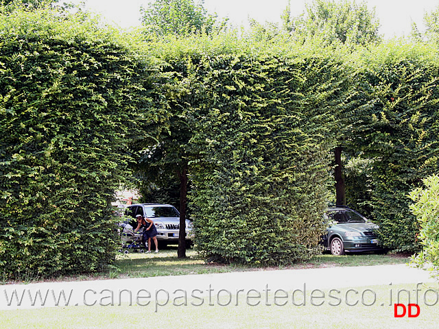 parcheggi.jpg - Parcheggi