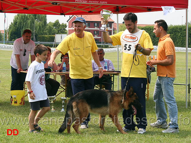 premiazioni-08.jpg - Premiazioni