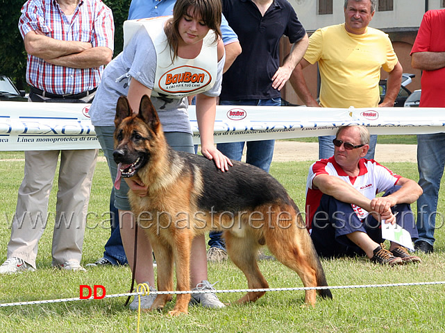 yasko-6B-giovanissimi-maschi.jpg - Yasko 6 B Giovanissimi maschi