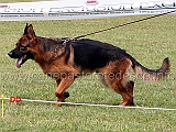 diego-villacordero-