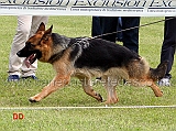 dixi-di-casa-mary-03