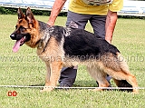 dixi-di-casa-mary-2MB-giovanissime-femmine-