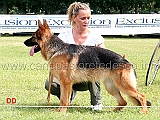 fasta-di-sarmano-