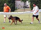 frey-di-camporeale-