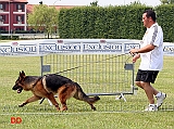 frey-di-camporeale