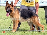 gim-di-casa-mary-1MB-giovanissimi-maschi-