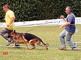 marco-del-samengio-