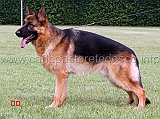 marco-del-samengio-2MB-giovanissimi-maschi-