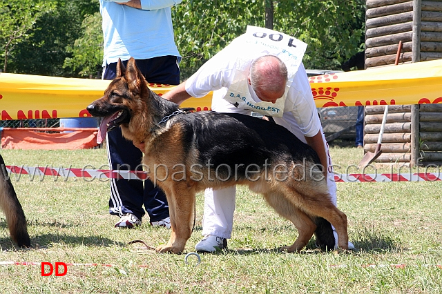 ciccio-di-belpoggio-3mb-cuccioloni.jpg - Ciccio di Belpoggio 3 MB Cuccioloni maschi