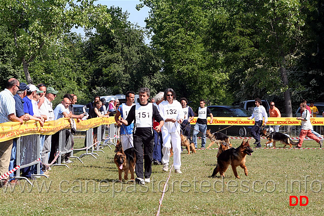 classe-juniores-femmine.jpg - Juniores femmine