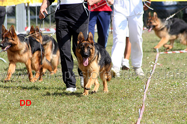 fiamma-valentinientis.jpg - Fiamma Valentinientis. Juniores femmine