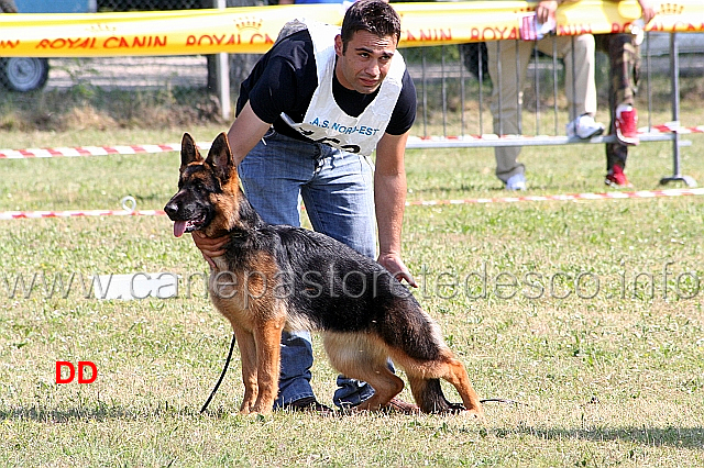 greta-degli-iapigi.jpg - Greta degli Iapigi 10MPJuniores femmine