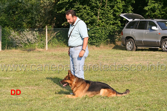 paolo-spaccini-con-king.jpg - Gara di attacchi. Paolo Spaccini con King (Jumbo Ambra Selvaggia)