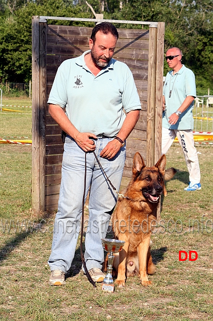 premiazione-gara-attacchi.jpg - Premiazione gara attacchi.  Paolo Spaccini con King (Jumbo Ambra Selvaggia)