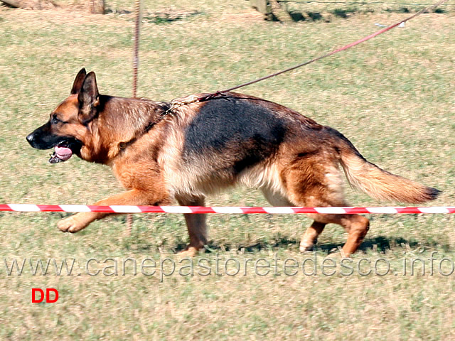 afra-alfons-david-02.jpg - Afra Alfons David