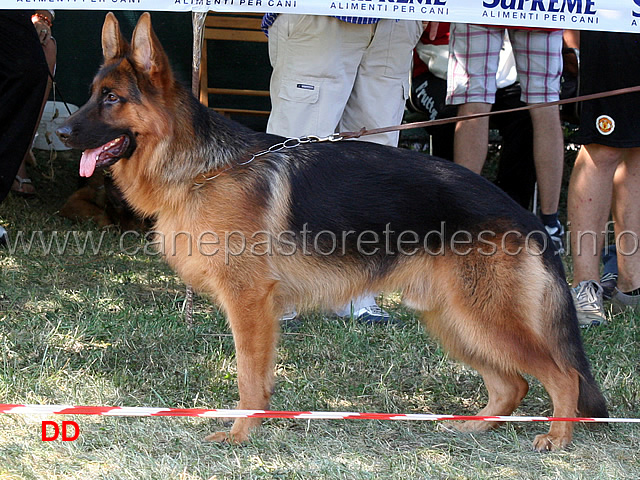 aiko-delle-belle-torri-1mb.giovanissimi-maschi.jpg - Aiko delle Belle Torri 1 MB Giovanissimi maschi 