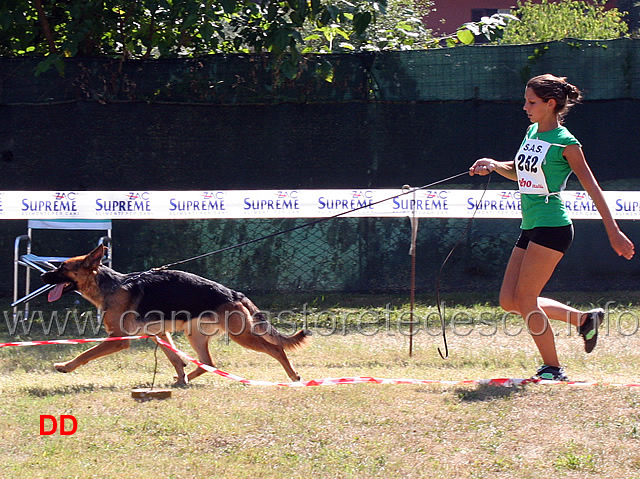 asia-di-vittorio-veneto-02.jpg - Asia di Vittorio Veneto 