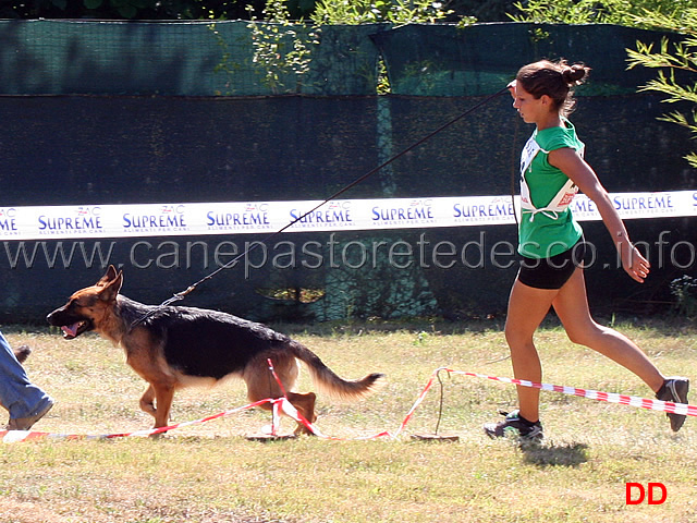 asia-di-vittorio-veneto.jpg - Asia di Vittorio Veneto condotta da Giulia Sonzogni 