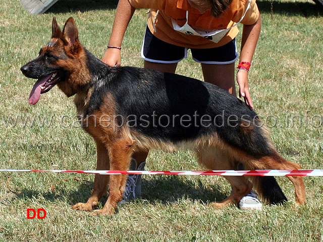 brina-dei-due-fiumi-9mb-giovanissime-femmine.jpg - Brina dei Due Fiumi 9 MB Giovanissime femmine
