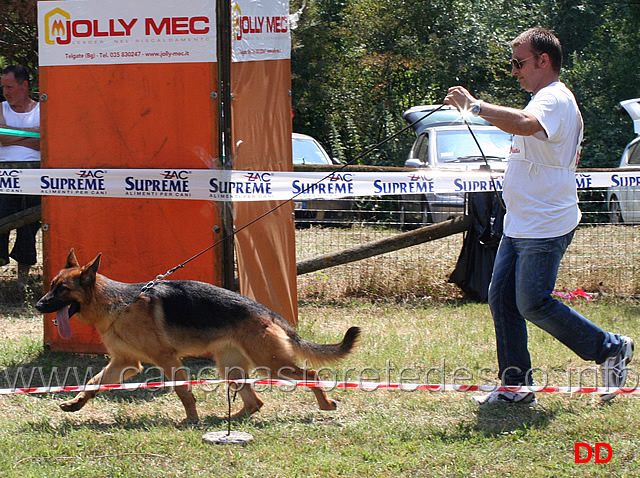 cucciolone-femmine-asia.jpg - Cucciolone femmine Asia