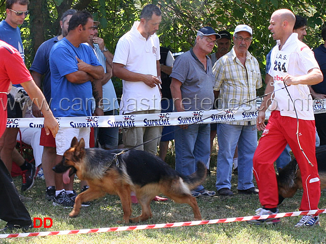 cucciolone-femmine-chira-di-casa-max.jpg - Cucciolone femmine Chira di Casa Max