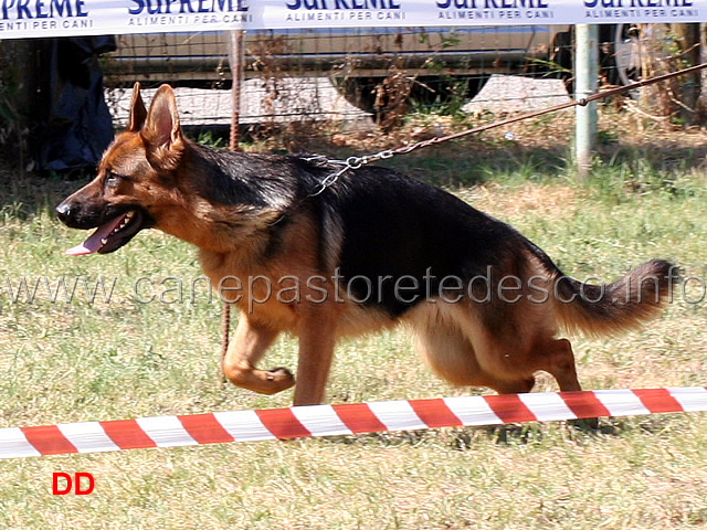 finke-di-casa-giovannini-02.jpg - Finke di Casa Giovannini 