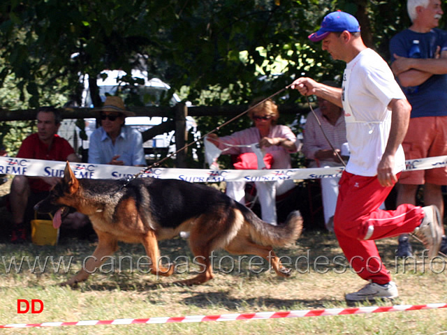giovanissimi-maschi-xippo-di-turboland.jpg - Giovanissimi maschi Xippo di Turboland