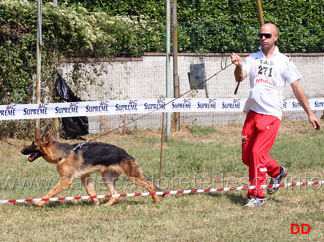 juniores-femmine-mitzi-di-giovannini.jpg - Juniores femmine Mitzi di Casa Giovannini 