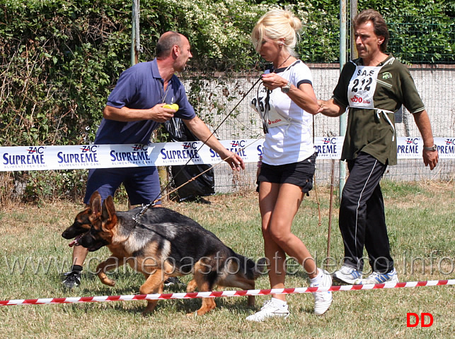 juniores-femmine-perla-di-valmadrera-bella-del-frutteto.jpg - Juniores femmine Perla di Valmadrera e Bella del Frutteto 