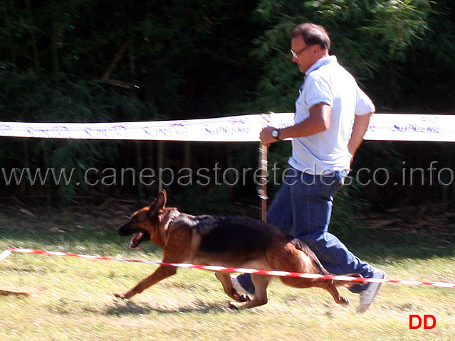 lavoro-femmine-frisbi-di-ca-san-marco-con-franco-canton.jpg - Lavoro femmine Frisbi di Ca' San Marco con Franco Canton 