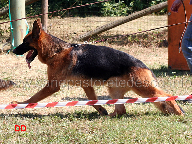 marko-team-torretta-02.jpg - Marko Team Torretta