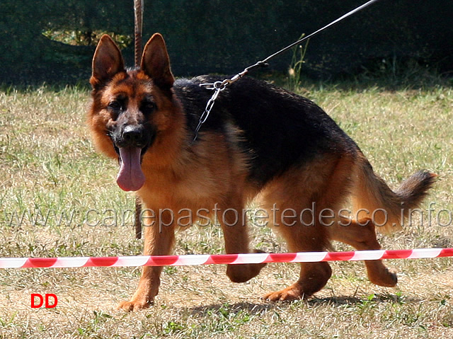 nylla-del-seprio.jpg - Nylla del Seprio