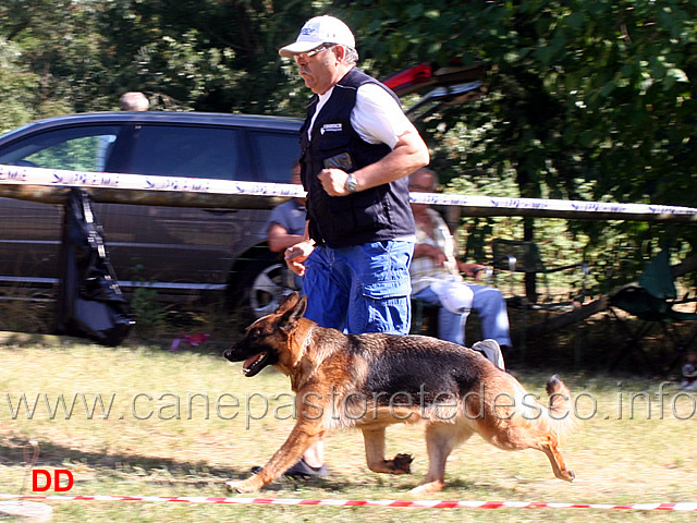 oreste-licata-con-aidin-di-casa-ines-03.jpg - Oreste Licata con Aidin di Casa Ines