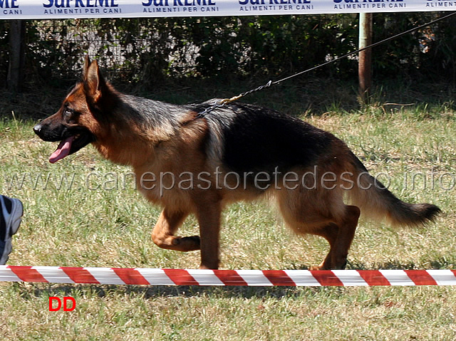 orgia-del-murnighello-02.jpg - Orgia del Murnighello 