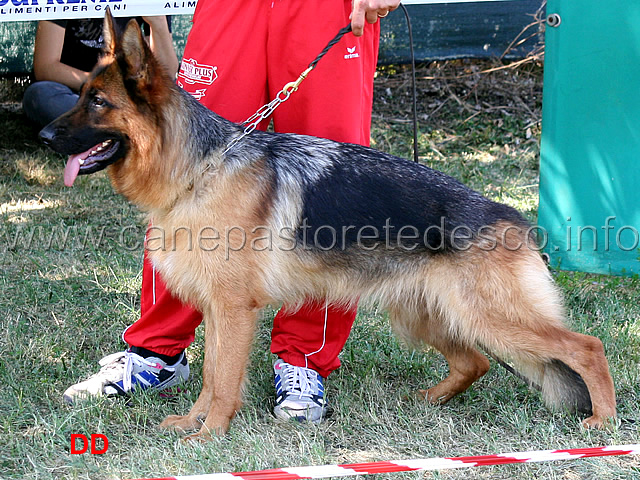 orgia-del-murnighello-2mb-giovani-femmine.jpg - Orgia del Murnighello 2 MB Giovani femmine