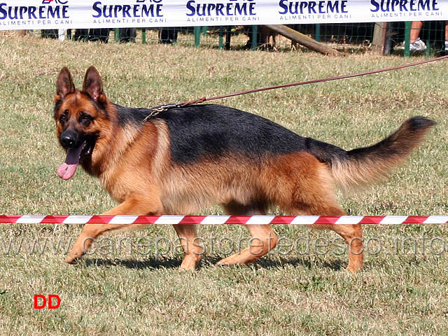 timoty-di-turboland.jpg - Timoty di Turboland