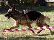 aidin-di-casa-ines-02